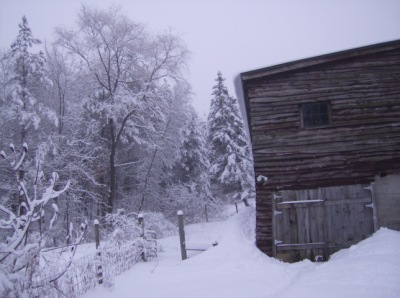 bottom half of barn...